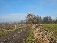 Vánoce v Lesním divadle Křenovice